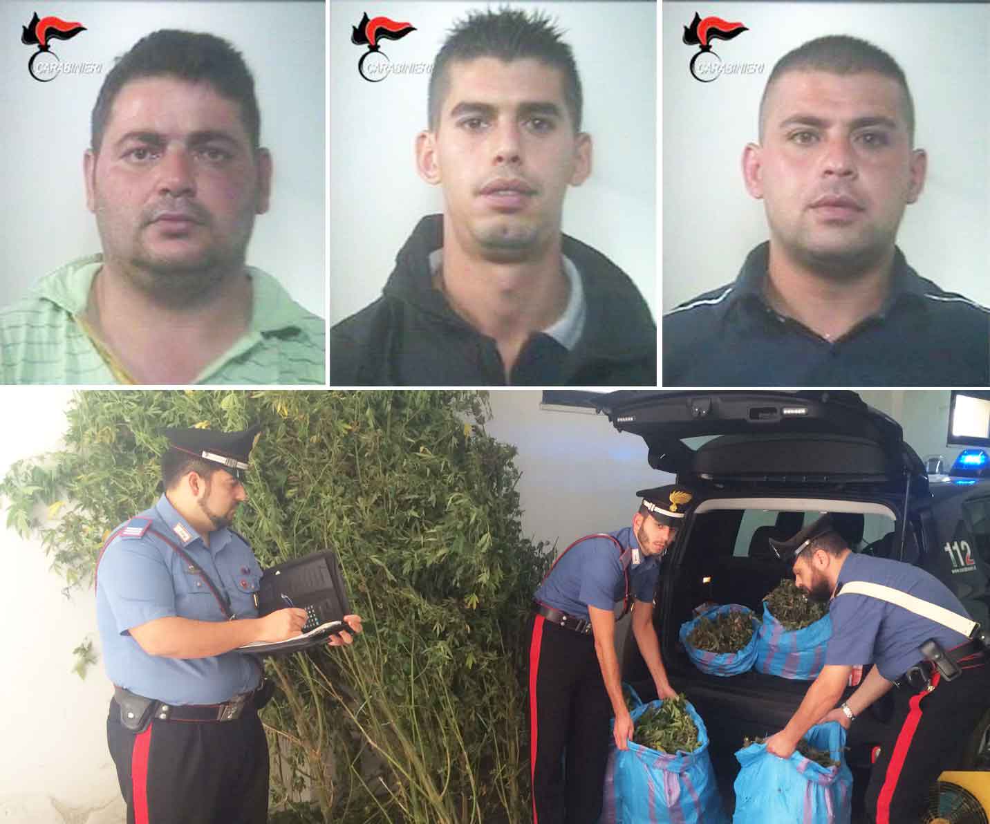 Francesco Violi, Mariano Delfino e Rocco Graziano Delfino. In basso i militari con la marijuana sequestrata a Bagnara Calabra