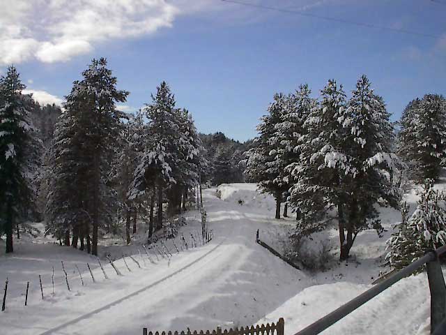 neve-in-calabria