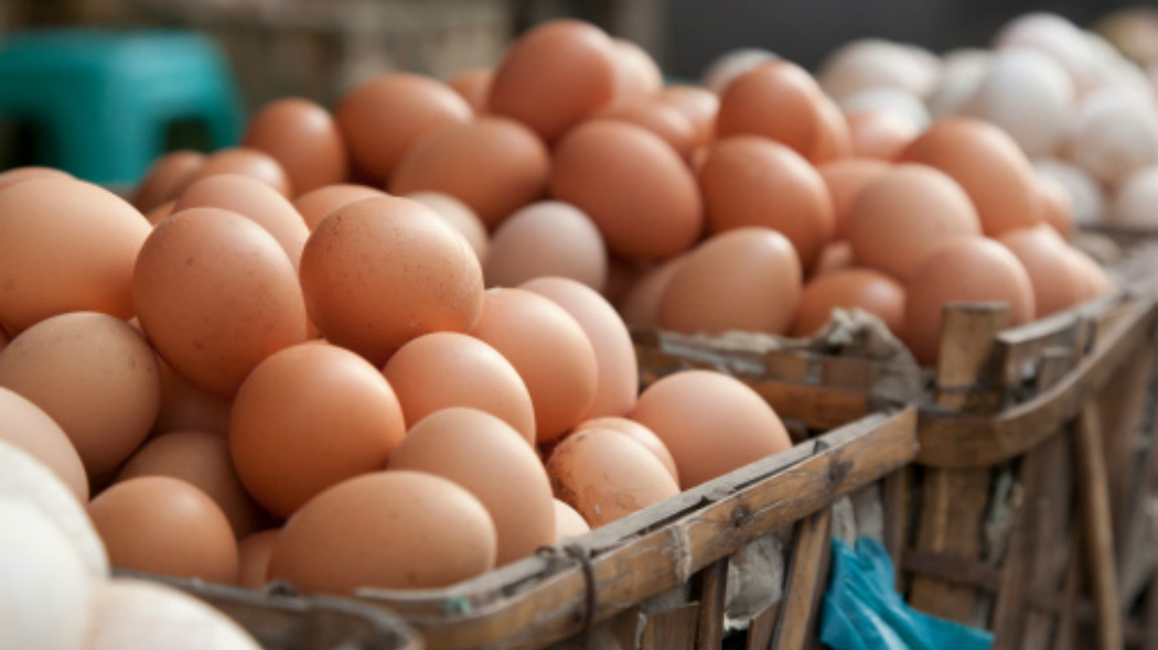 uova fipronil rischio contaminazione