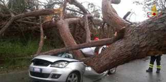 Ardea (Roma), auto schiacciata da grosso albero: due morti