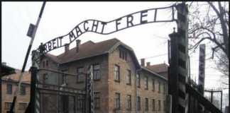 Auschwitz, Negazionismo è legge