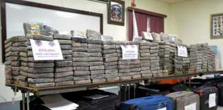 Sequestrati 300 chili di cocaina a Gioia Tauro. Valore 50 mln
