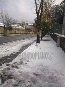 Neve a Cosenza 11 gen 2017