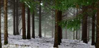 Maltempo in Calabria: giorni di pioggia e vento. Neve su rilievi