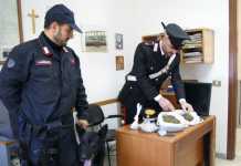 Attività antidroga dei Carabinieri di Crotone: 8 arresti