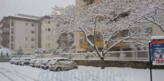 L'abbondante nevicata a Cosenza il 19 febbraio 2016