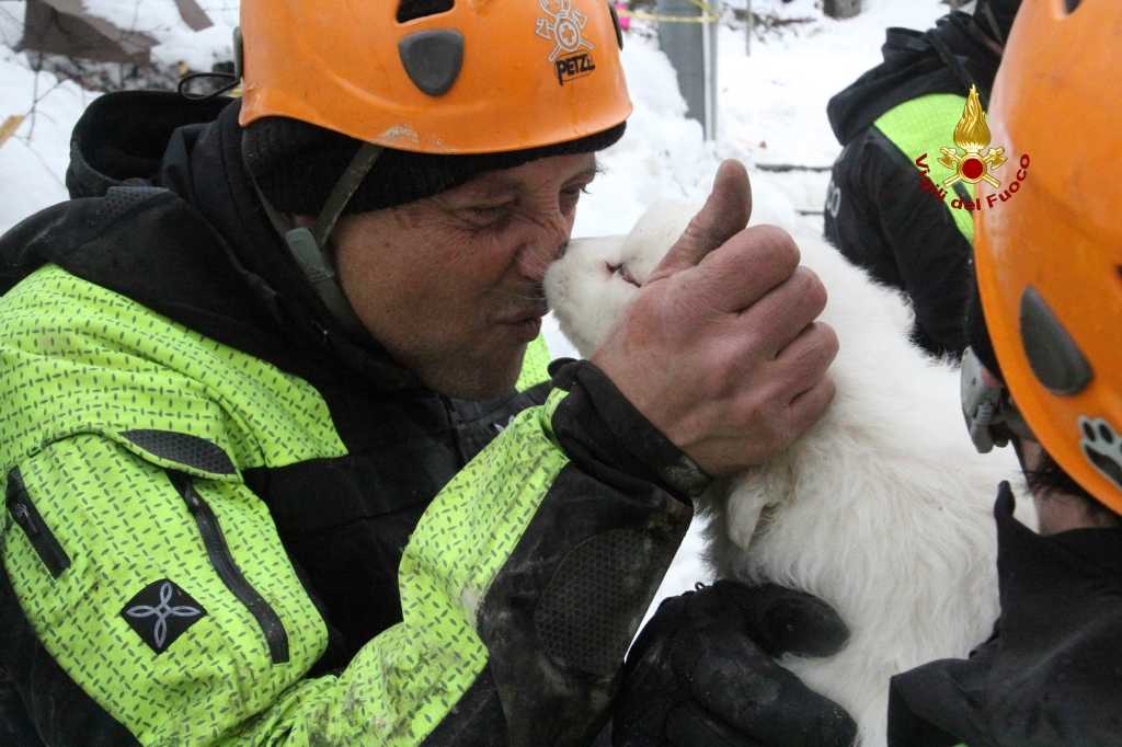 Un Vigile del fuoco con uno dei tre cuccioli sopravvissuti al Rigopiano