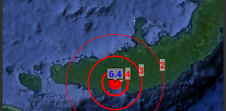 Terremoto papua nuova guinea