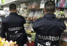 Sequestrate dalla Guardia di finanza oltre 4 milioni di uova pasquali decorative.