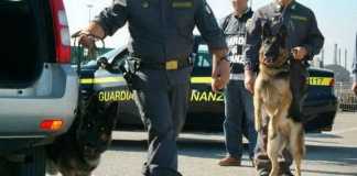 guardia di finanza droga