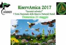 RiservAmica 2017