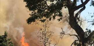 incendio al Parco della biodiversità