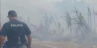 incendio nel cosentino