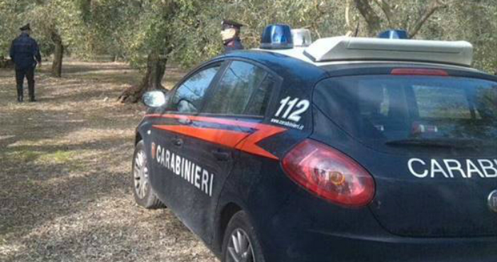 carabinieri in campagna 