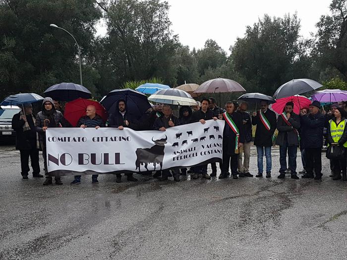 Protesta a Cittanova contro vacche sacre della 'ndrangheta