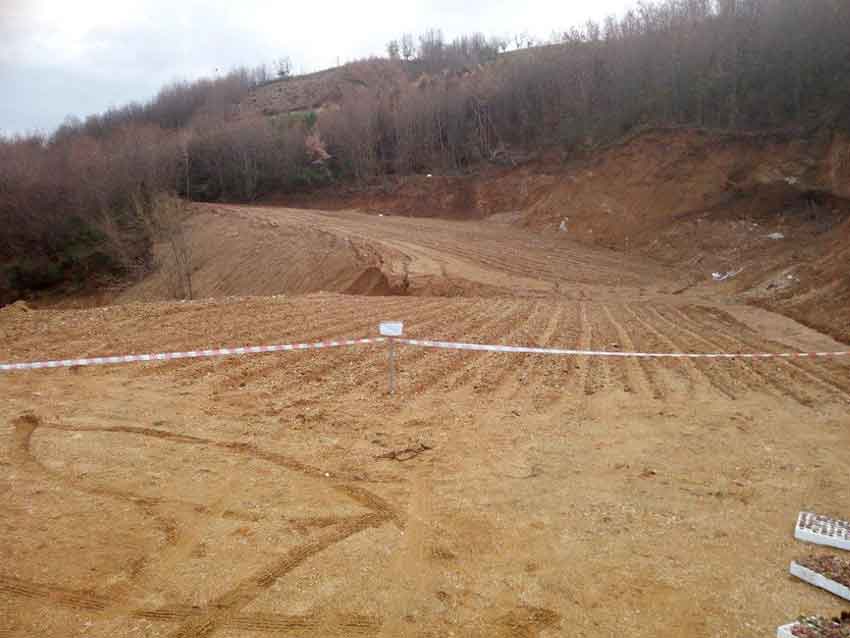 Taglia un bosco per ricavarci un terreno: sequestro e denuncia a Luzzi