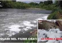 inquinamento fiume crati depuratore