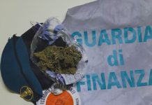 marijuana finanza