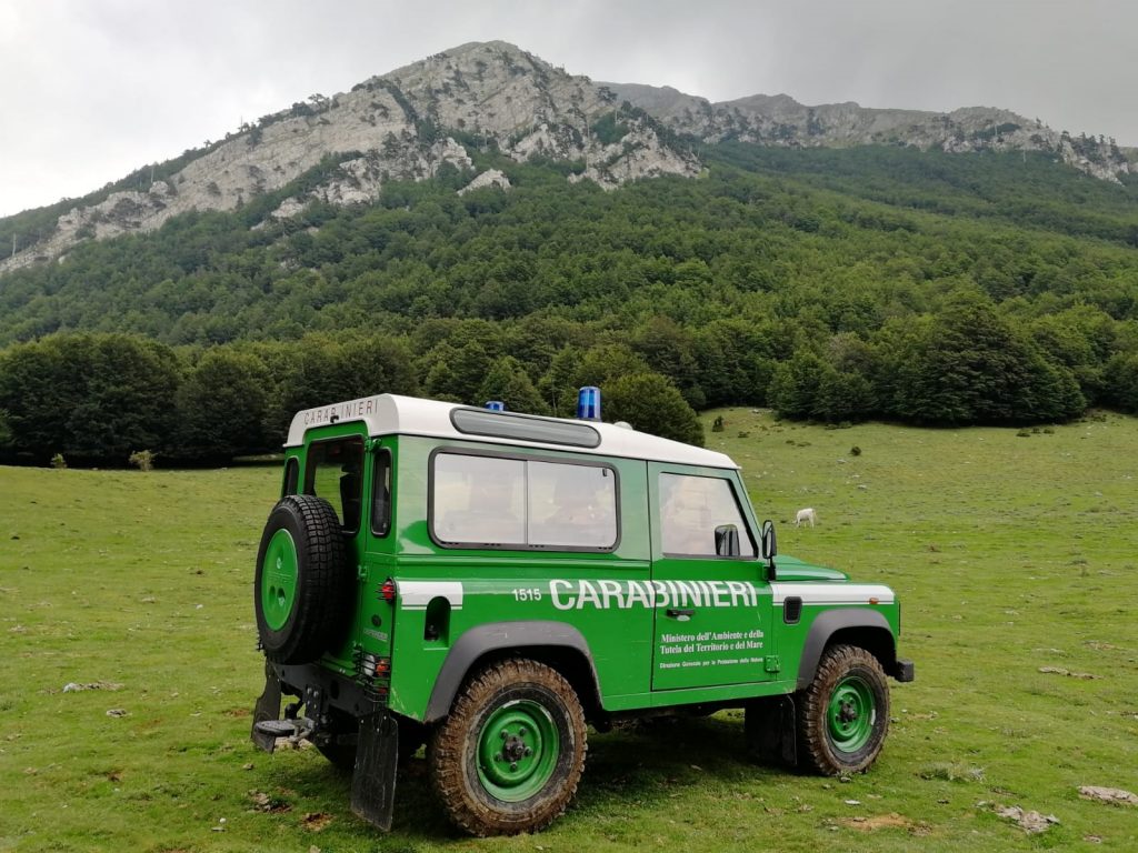 carabinieri forestali parco