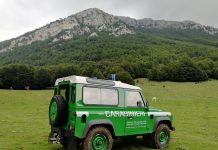 carabinieri forestali parco