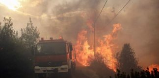 In Calabria forti venti, incendi nelle province di Crotone e Cosenza