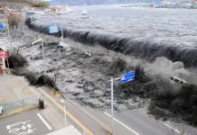 tsunami in giappone