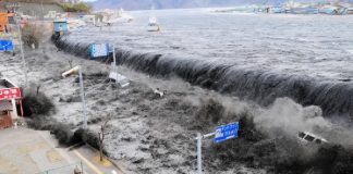 tsunami in giappone