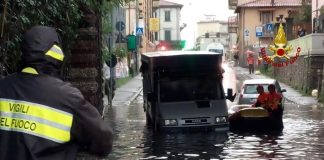 maltempo, danni, allagamenti, alberi caduti su auto