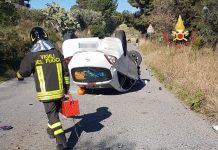 Auto cinghiale