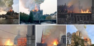 Incendio Cattedrale Notre Dame Paris