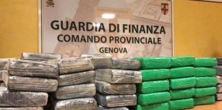 Cocaina sequestrata in porto a Genova
