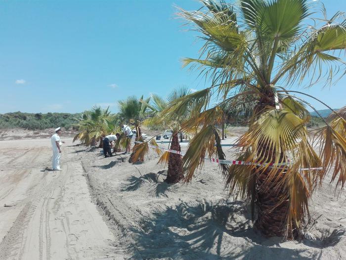A Curinga Occupa spiaggia senza permessi, sequestro e denuncia