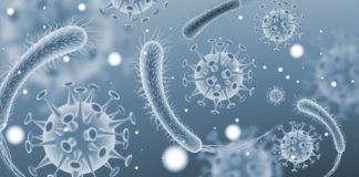 Coronavirus, pronto il test europeo per la diagnosi